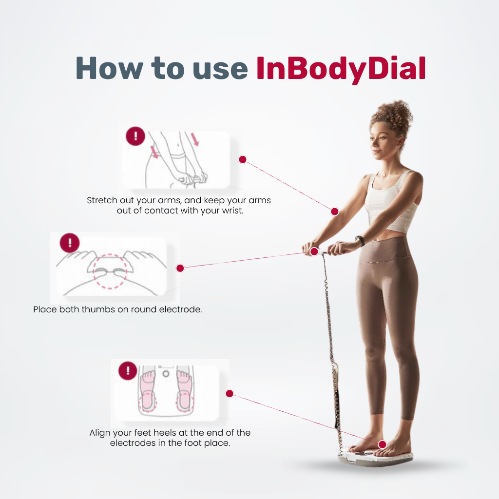 Instructions on how to use InBodyDial with a person standing and electrodes attached.