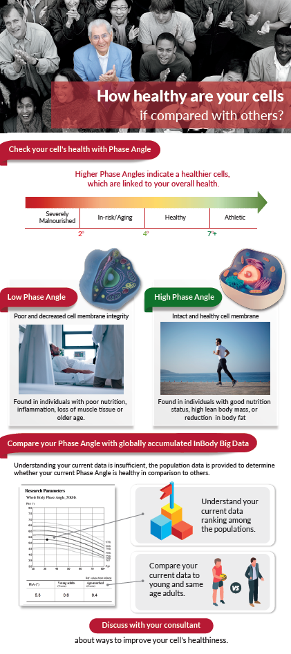 Phase Angle Roll-up Banner