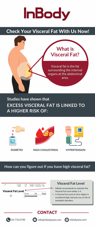 Visceral Fat Roll-up Banner