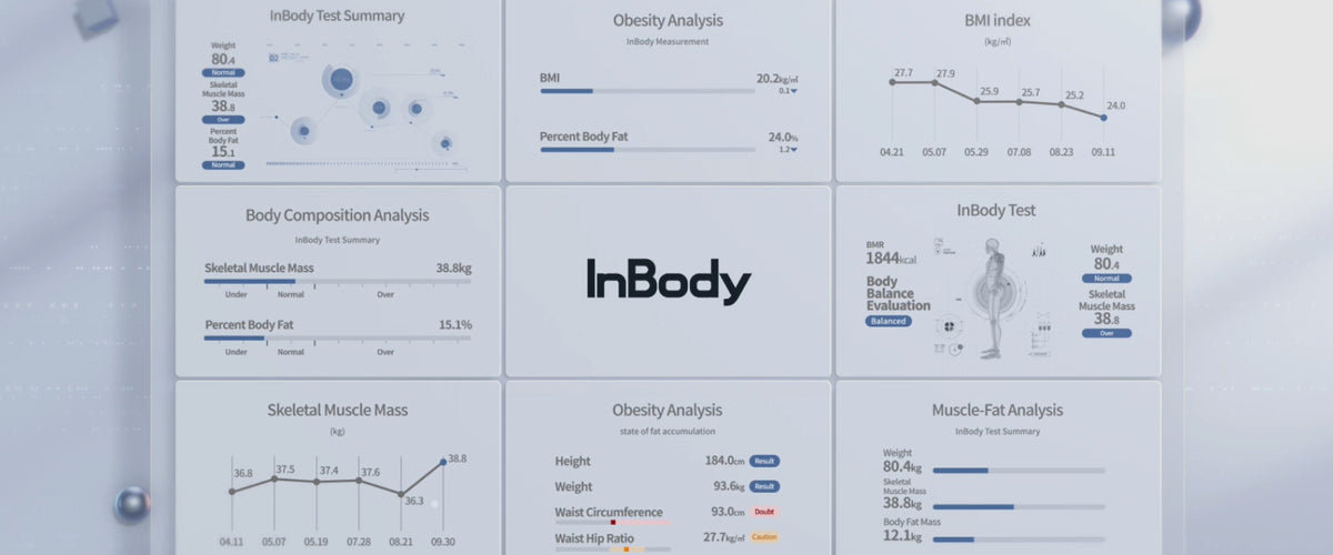 What is Body Composition? – InBody Asia Sdn Bhd